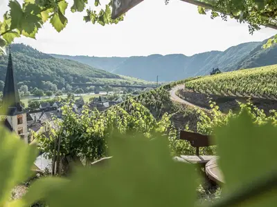 Blick auf die Weinberge