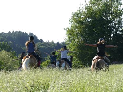 Reiten am Hof (Halle)und im Gelände