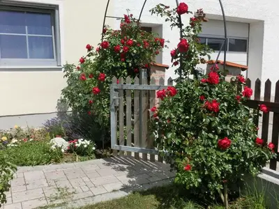 Ferienwohnung für 3 Personen (47 m²) in Egenhofen 4/10