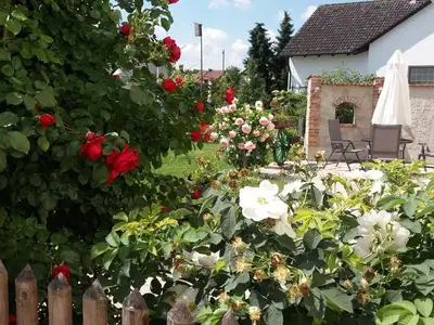 Ferienwohnung für 3 Personen (47 m²) in Egenhofen 5/10