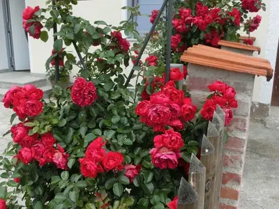 Ferienwohnung für 3 Personen (47 m²) in Egenhofen 7/10