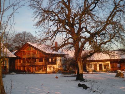 Haupthaus hinter der Kastanie