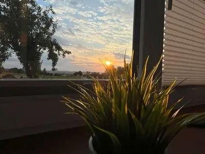 Ferienwohnung für 5 Personen (36 m²) in Eggolsheim 5/10