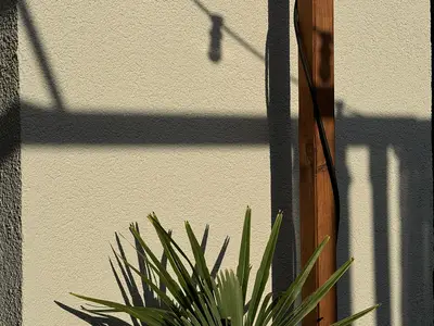 Der Abend wirft seine Schatten voraus
