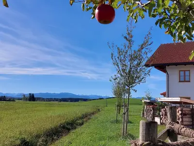 Ferienwohnung für 3 Personen (47 m²) in Aufhofen 9/10