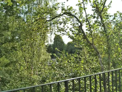 Ferienwohnung für 2 Personen (75 m²) in Egloffstein 8/10