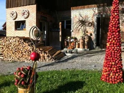 Bild 7