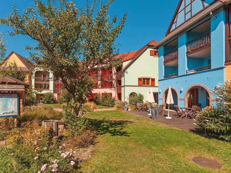 23356595-Ferienwohnung-6-Eguisheim-800x600-0