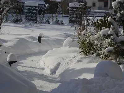Ferienwohnung für 4 Personen (75 m²) in Ehenbichl 7/10