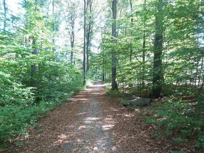 Wanderwege Ehlscheid