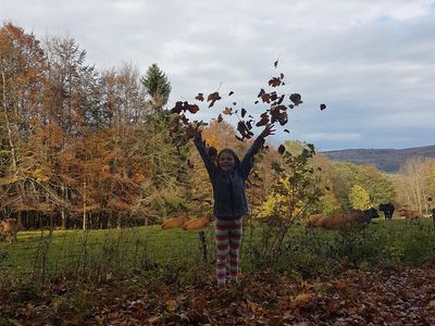 Herbstlaub