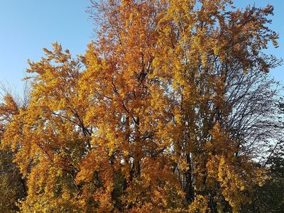 Herbst in der Rhön