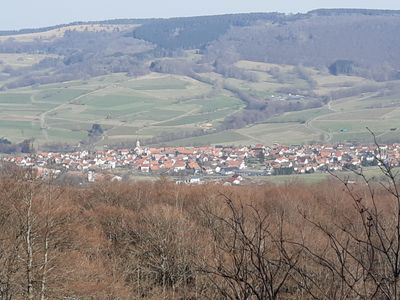 Blick vom Schafstein auf Wüstensachsen