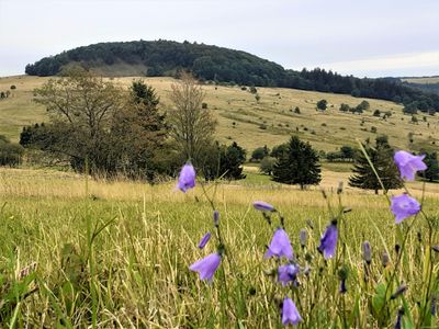 Frühling