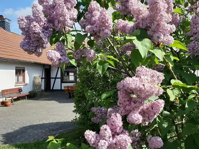 Ferienwohnung für 6 Personen (100 m²) in Ehrenberg (Hessen) 4/10