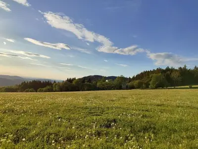 Ferienwohnung für 3 Personen (60 m²) in Ehrenberg (Hessen) 9/10