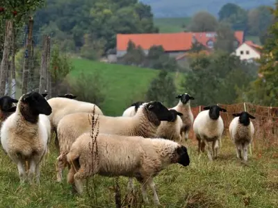 Ferienwohnung für 6 Personen (90 m²) in Ehrenberg (Hessen) 7/10