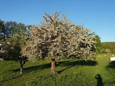 Ferienwohnung für 2 Personen (36 m²) in Ehrenberg (Hessen) 7/10