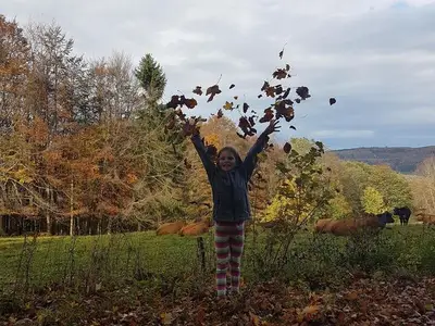 Ferienwohnung für 4 Personen (75 m²) in Ehrenberg (Hessen) 7/10