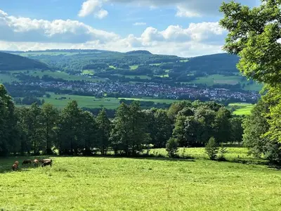 Ferienwohnung für 4 Personen (65 m²) in Ehrenberg (Hessen) 2/10