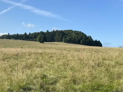 Ferienwohnung für 4 Personen (65 m²) in Ehrenberg (Hessen) 6/10