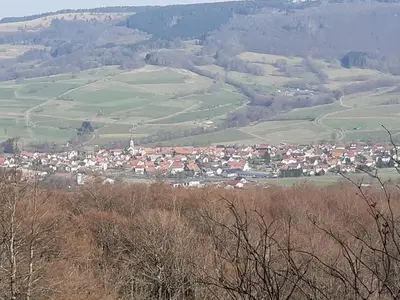 Ferienwohnung für 4 Personen (80 m²) in Ehrenberg (Hessen) 7/10