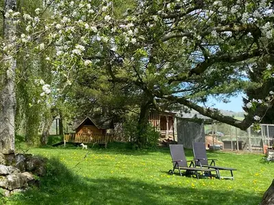 Ferienwohnung für 3 Personen (34 m²) in Ehrenberg (Hessen) 3/10