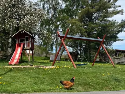 Ferienwohnung für 3 Personen (34 m²) in Ehrenberg (Hessen) 4/10