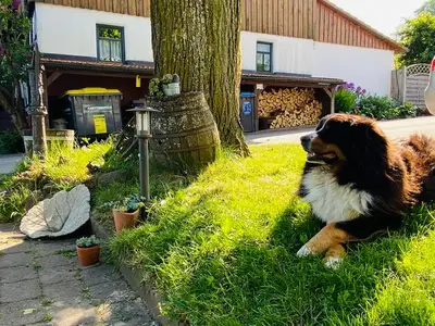 Ferienwohnung für 3 Personen (34 m²) in Ehrenberg (Hessen) 5/10
