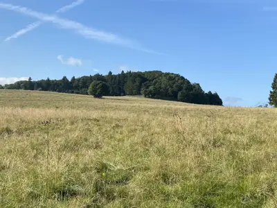 Steinkopf