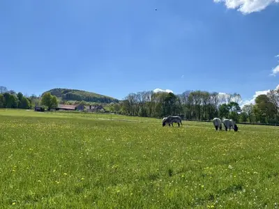 Ferienwohnung für 4 Personen (60 m²) in Ehrenberg (Hessen) 2/10