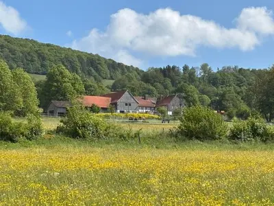 Ferienwohnung für 4 Personen (60 m²) in Ehrenberg (Hessen) 6/10