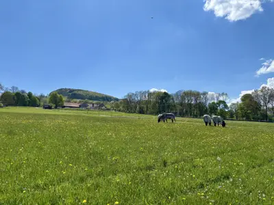 Aussicht von der Pferdekoppel