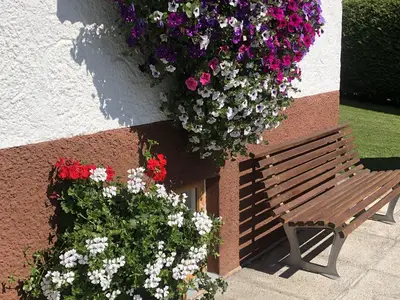 Haus Arnika Blumen am Eingang
