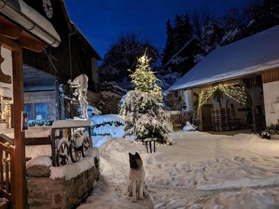 weihnachts-hautschi1