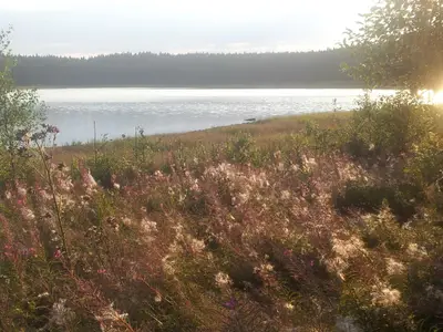 Herbst an der Talsperre Carlsfeld