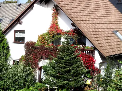 Ferienwohnung für 5 Personen (75 m²) in Eibenstock 6/10
