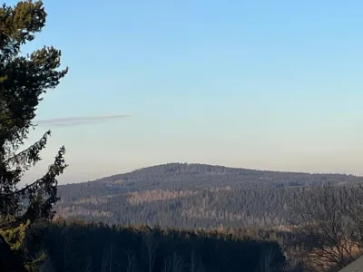 Waldblick
