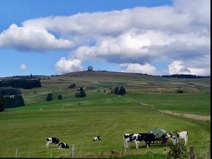 24051891-Ferienwohnung-3-Eichenzell-300x225-4