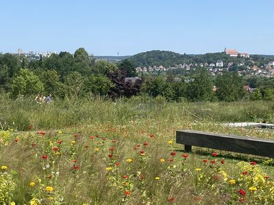 Blick auf den Frauenberg