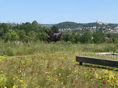 Blick auf den Frauenberg