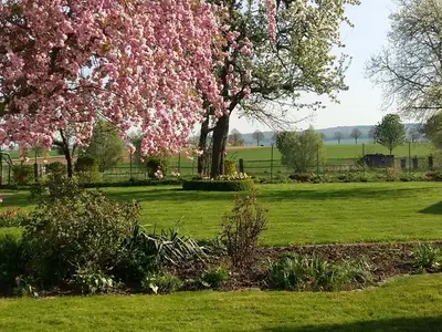 Ferienwohnung für 2 Personen (45 m²) in Einbeck 2/9