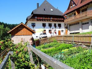 Ferienwohnung für 6 Personen (70 m²) in Eisenbach