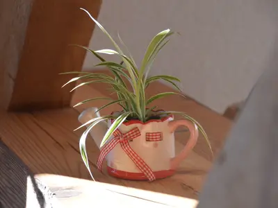 Ferienwohnung für 4 Personen (80 m²) in Eisenbach 8/10