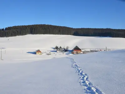 Ein herrlicher Wintertag mit Blick zum Hof