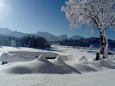 Ferienwohnung für 3 Personen (60 m²) in Eisenberg (Allgäu) 6/10