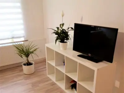 Ferienwohnung für 4 Personen (60 m²) in Eisenberg 6/10