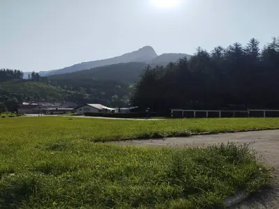 GardenSummer