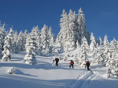 AreaWinter20KM