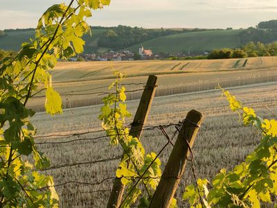 Ausblick Garten